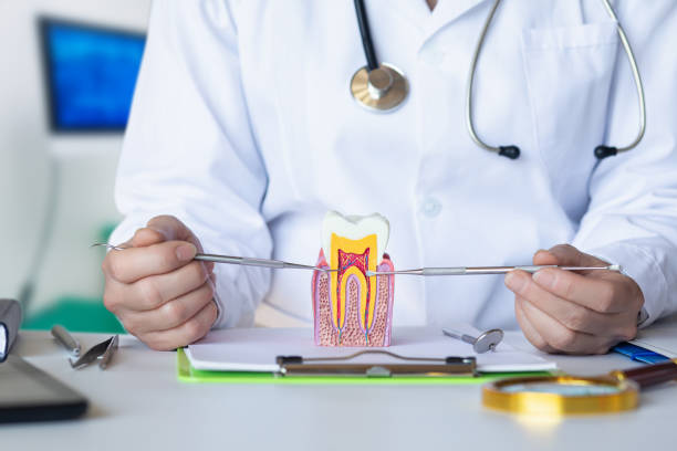 Best Emergency TMJ Treatment in Moulton, AL